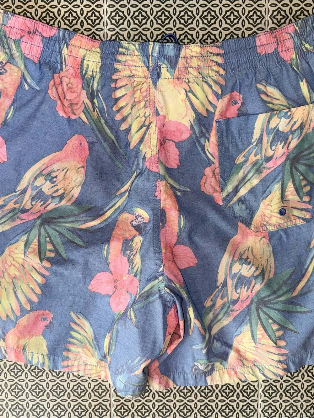 chubbies lightweight blue